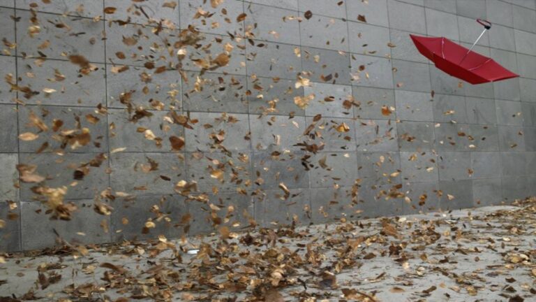 Clima hoy México 20 de mayo: vientos fuertes y lluvias