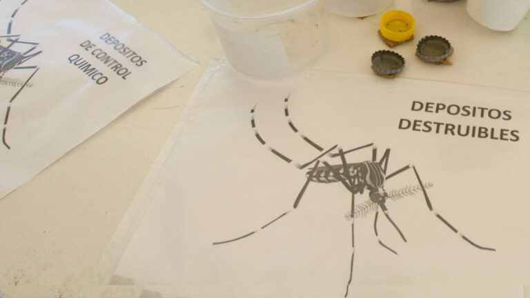¡Evita zika, chikungunya y dengue! Salud da estas recomendaciones