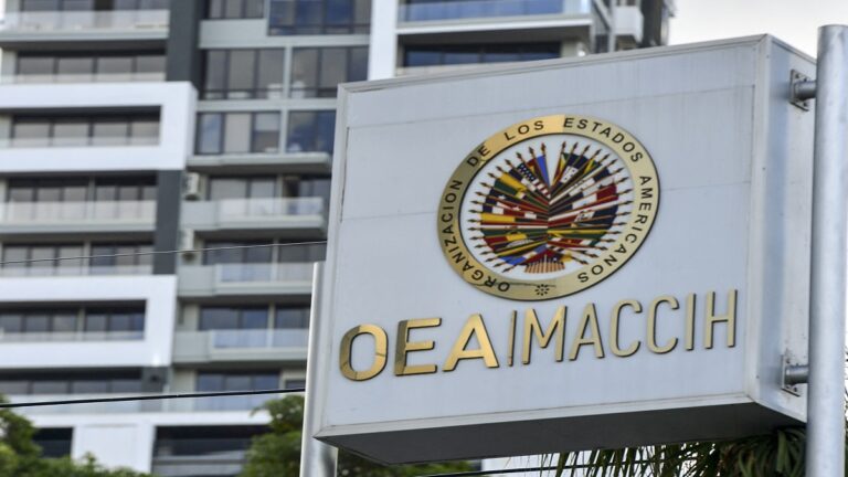 ¿Qué es la OEA y cuáles son sus funciones?