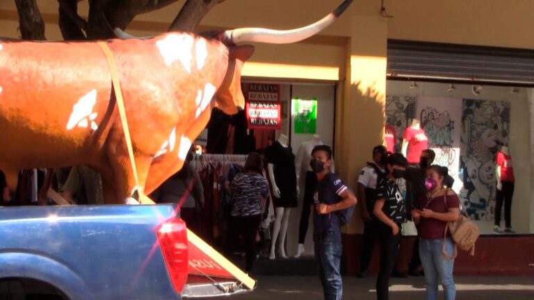 Surge el “Buey de la vergüenza” para quienes no usen cubrebocas en Orizaba