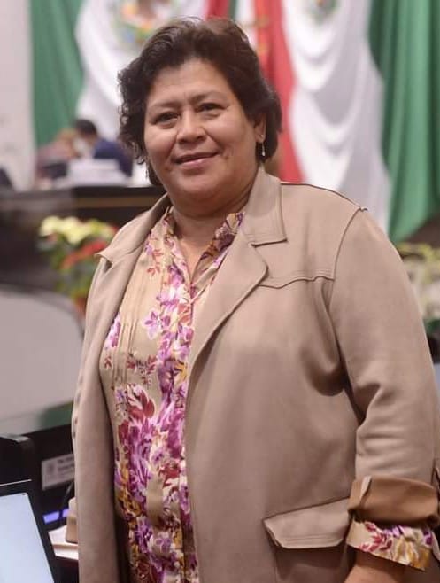 La Construcción de los andamiajes de la diputada CHEVA