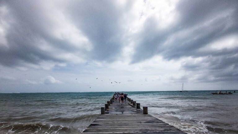 Fuertes vientos, altas temperaturas o lluvias: Así estará el clima en tu estado
