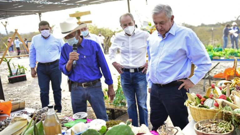 AMLO propone que Sembrando Vida se enfoque en tres productos