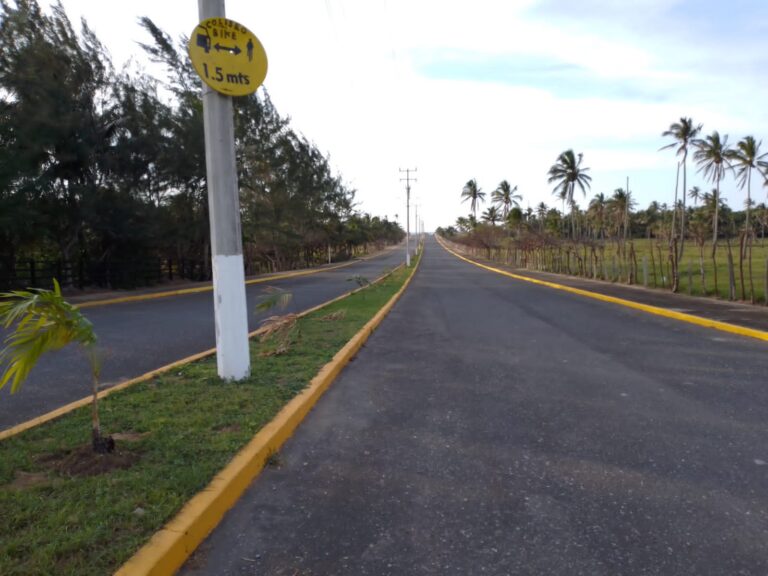 El bulevar “Las Palmitas” bella imagen de Agua Dulce