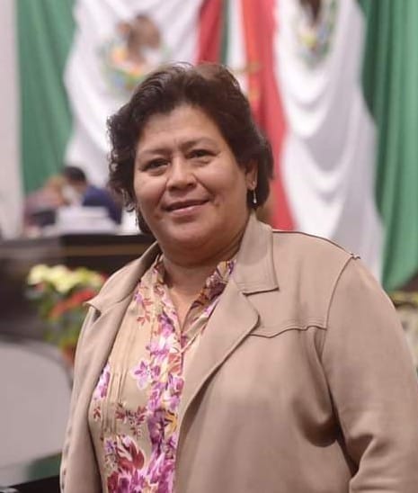 La diputada CHEVA rumbo al “paraíso” de los Elefantes Blanco