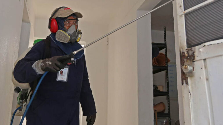 Día Mundial contra el Dengue: ¿qué es esta enfermedad que causa fiebre, sangrado e, incluso, la muerte?