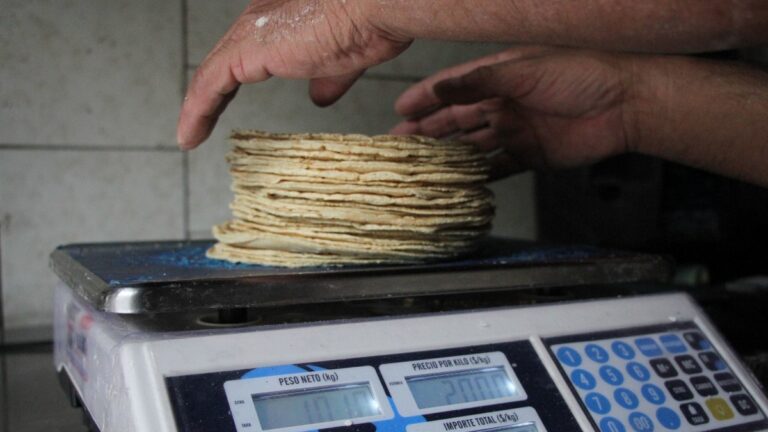 Precio de tortilla podría elevarse en primer bimestre de 2023; ve en cuánto comprarías el kilo