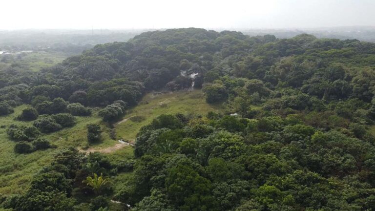 Se registra fuga de amoniaco en Nanchital, Veracruz; desalojan a 300 personas