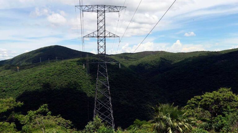 Con finanzas sanas, la CFE fortalece su parque de generación verde