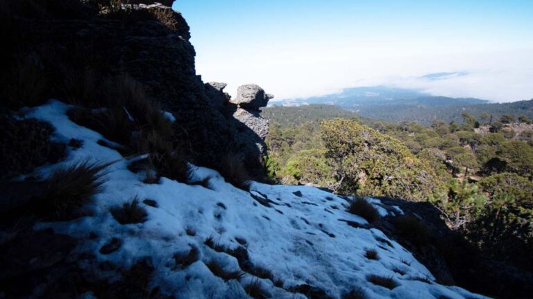 ¡Se pintó de blanco! Cae la primera nevada en Cofre de Perote, en Veracruz; restringen el acceso
