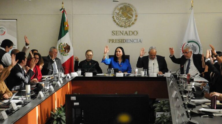 En comisiones Senado elimina cláusula de vida eterna en el Plan B de Reforma Electoral